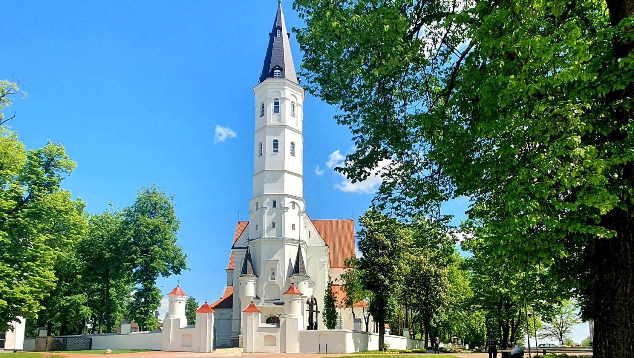 Apartment Next To Cathedral Of Saints Peter & Paul シャウレイ エクステリア 写真